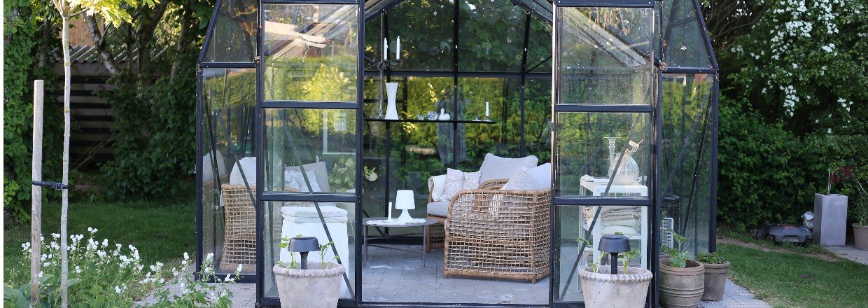 Plant roser i krukker – perfekt til terrasse, orangeri og drivhus