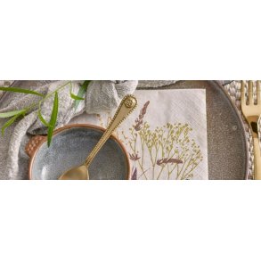 Servietter & servietringe