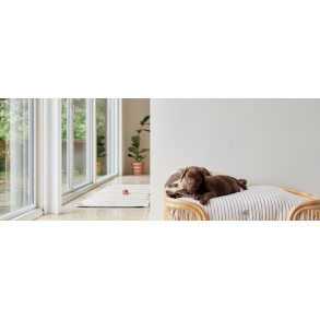 Hundesenge- og puder