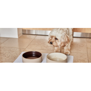 Madskåle, vandskåle og tilbehør til dyr