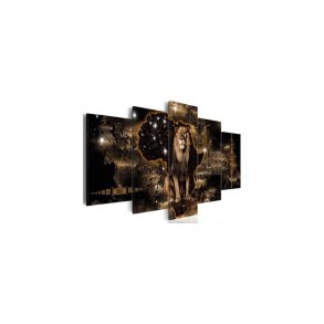 Billeder - Afrikansk