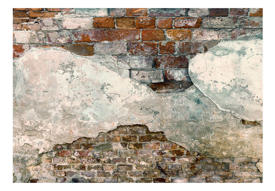 ARTGEIST fototapet - Tender Walls. Rå musten (Flere Størrelser) 100x70