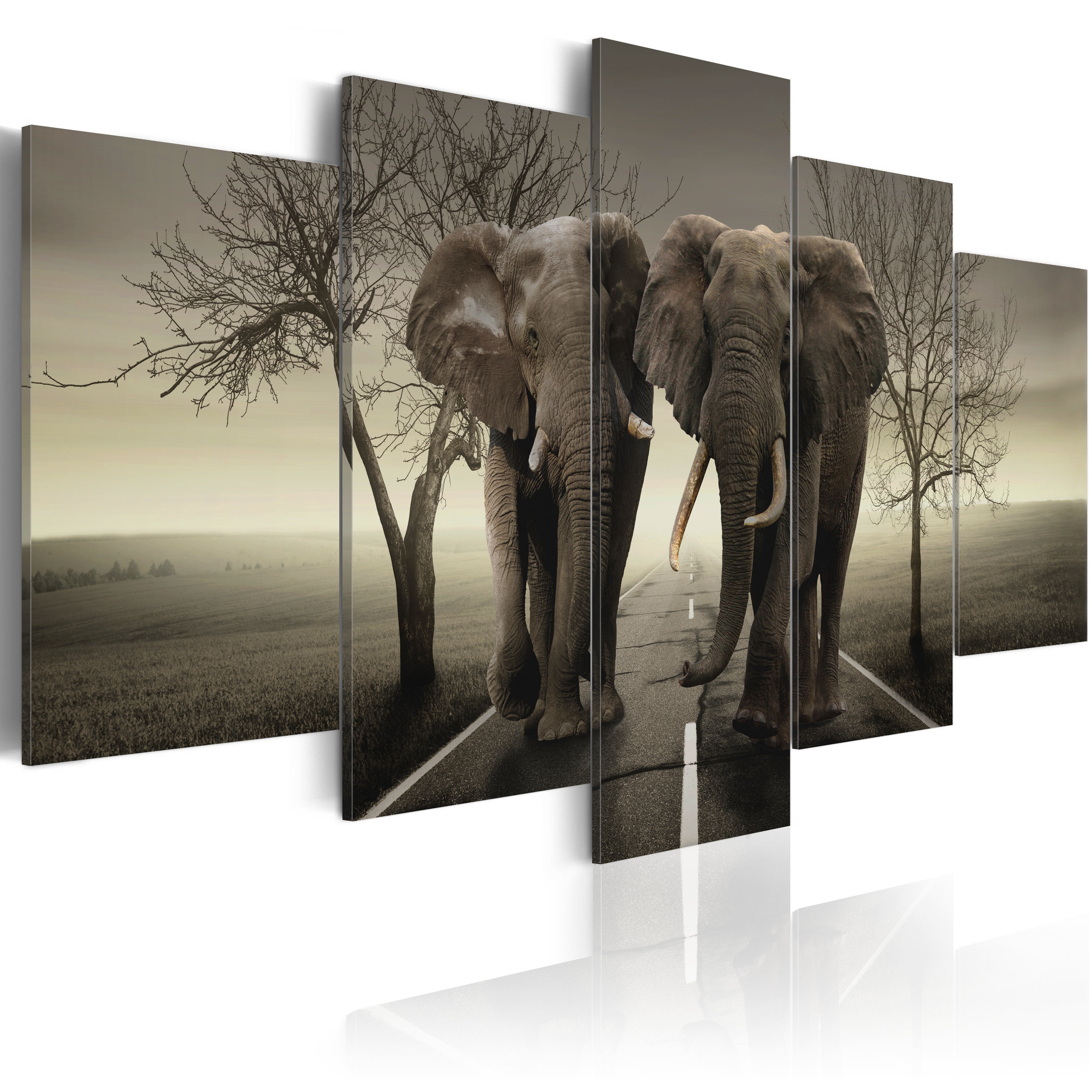 ARTGEIST It's a wild World! - Billede af elefanter der går på vej trykt på lærred - Flere størrelser 100x50
