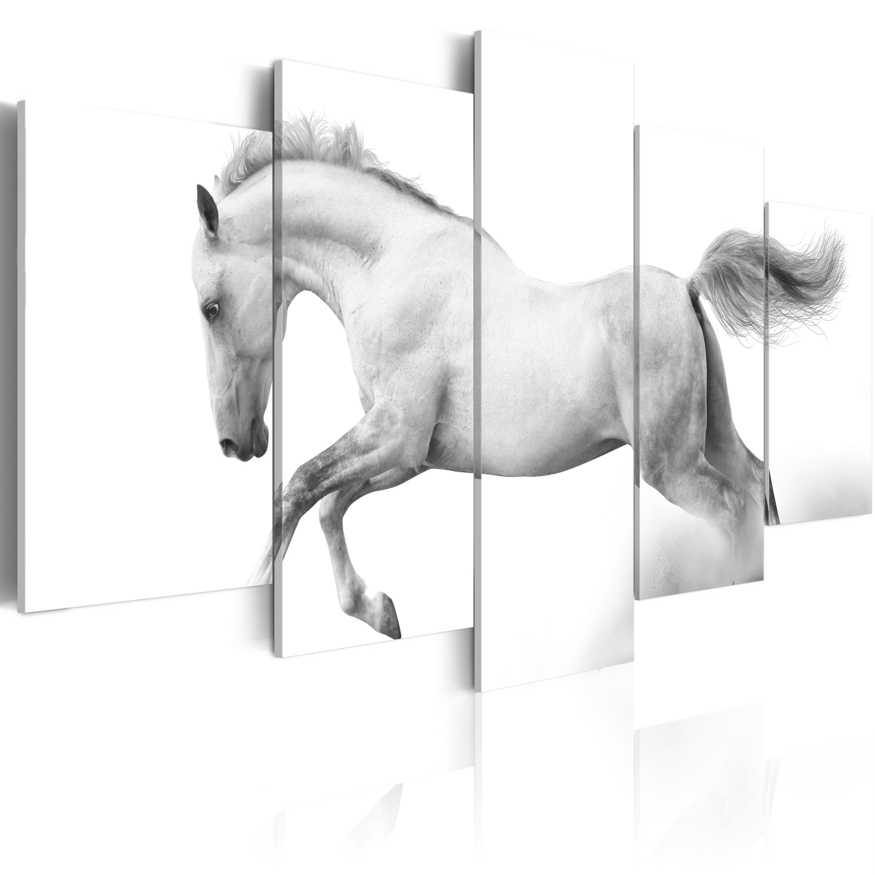 ARTGEIST Horsepassion and freedom - Minimalistisk billede af hest trykt på lærred - Flere størrelser 200x100