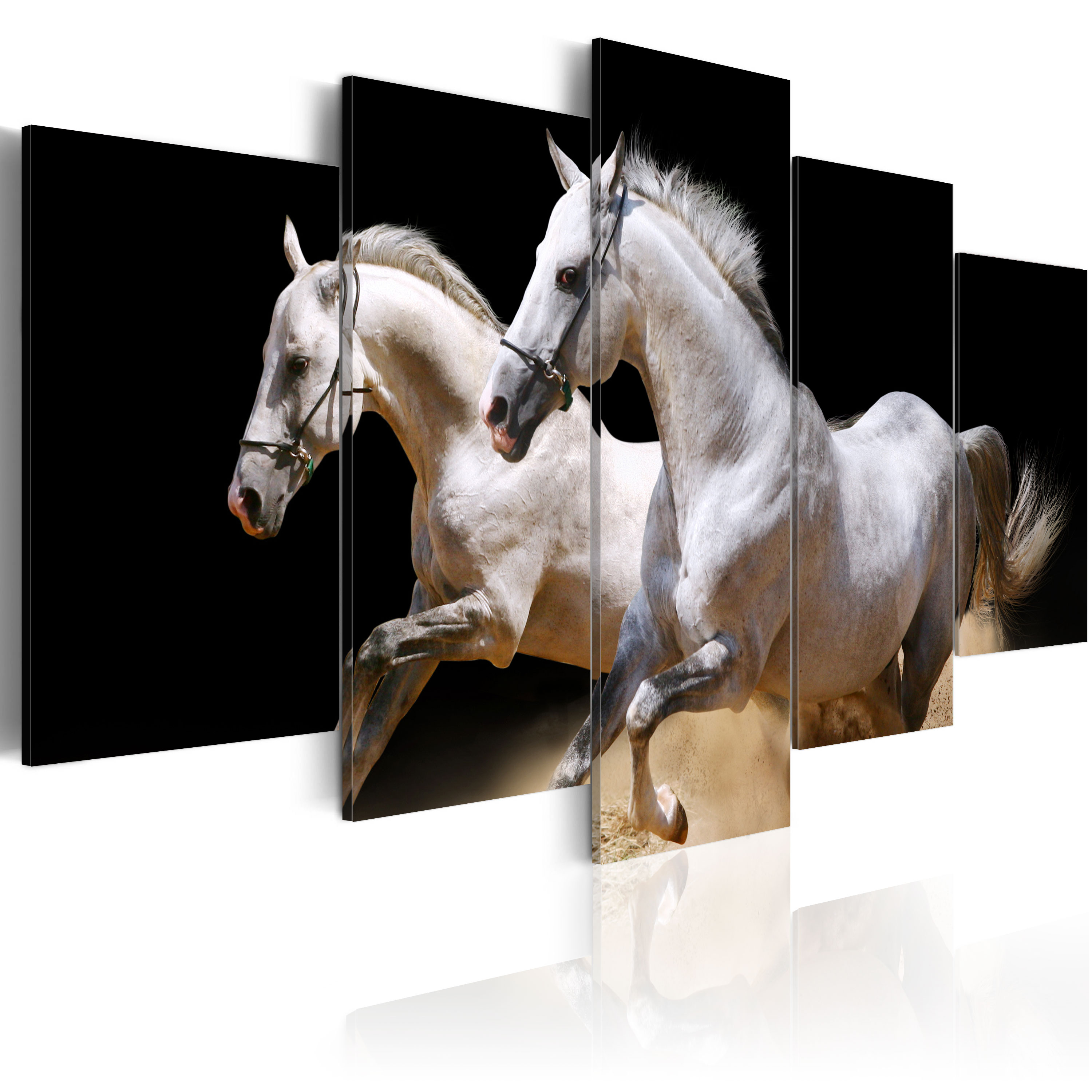 ARTEIST Freedom and power - Billede af to heste i galop trykt på lærred - Flere størrelser 100x50 thumbnail
