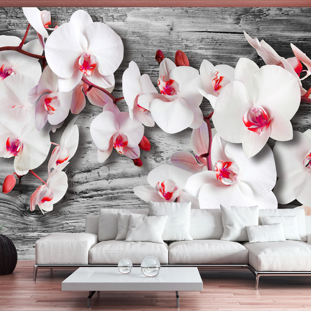ARTGEIST - Fototapet med hvide orkidéer på baggrund af sølv træ - Flere størrelser 350x245