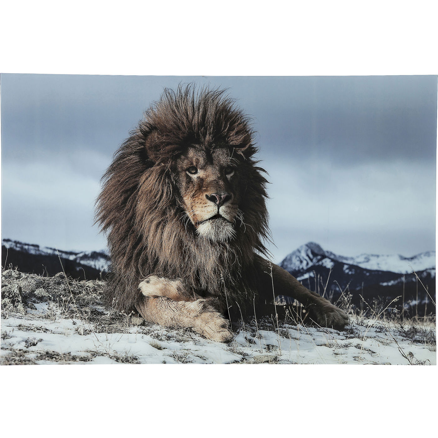 KARE DESIGN Proud Lion Plakat - Blå/Brun glas og komposittræ, (120x180cm)