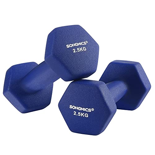 SONGMICS håndvægt 2,5 kg, vandtæt og skridsikker - blå neopren støbejern (sæt med 2)