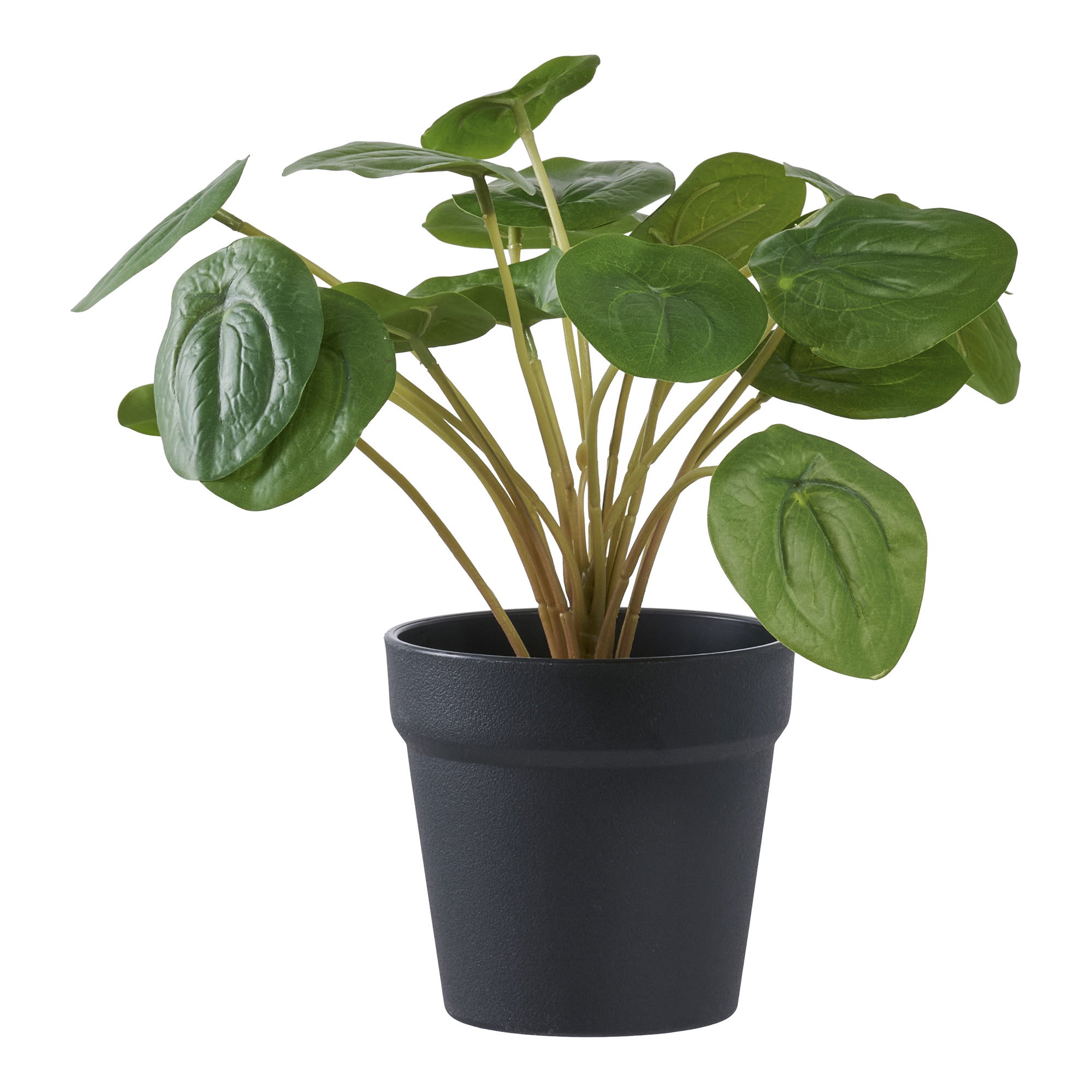 HOUSE NORDIC Pelia - Kunstig plante, grøn H:28 cm