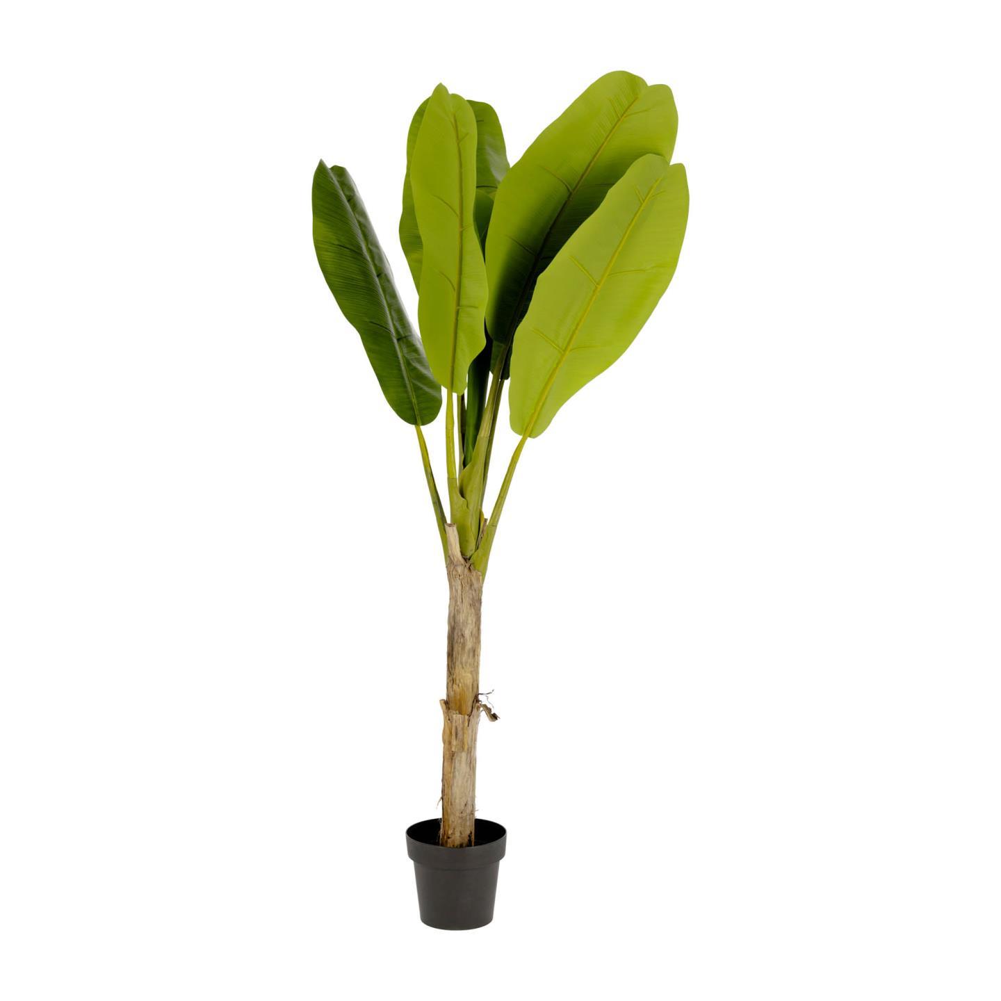 LAFORMA Banan kunstig plante - grøn polyethylen (H:160)