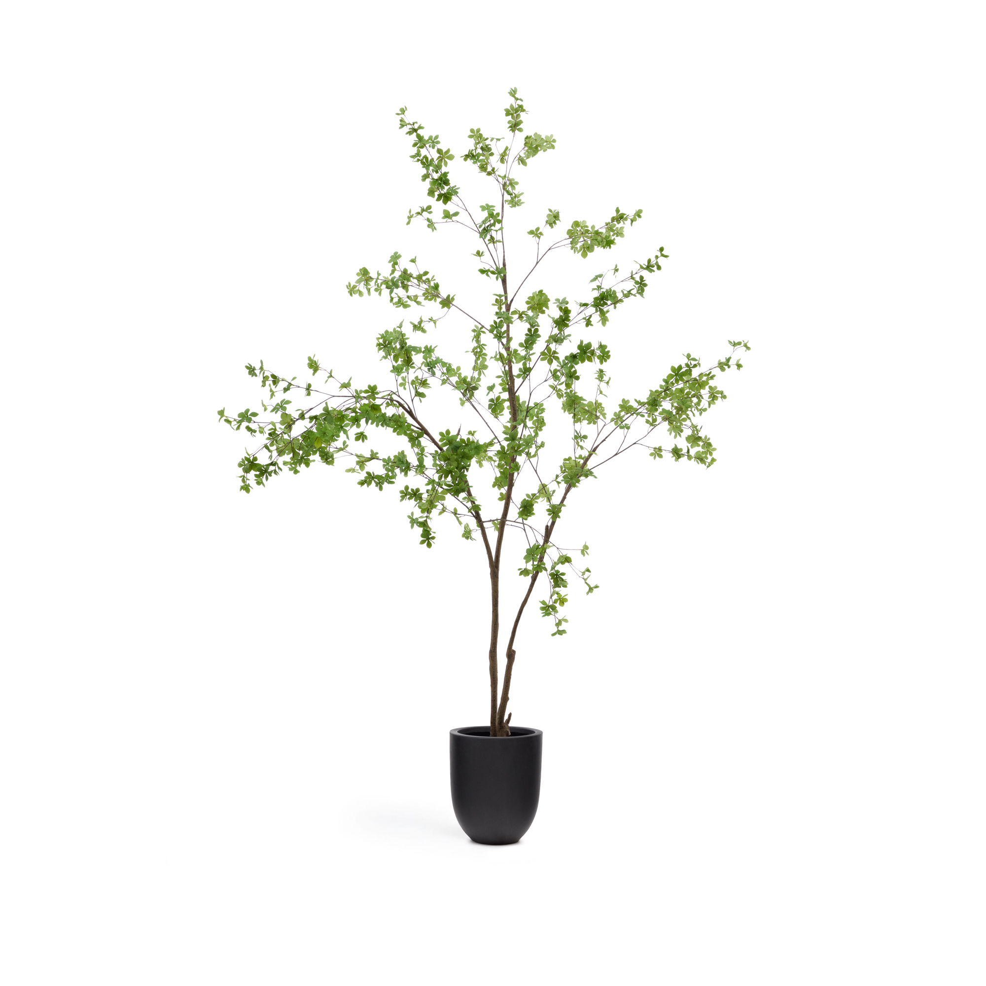 KAVE HOME Enkianthus kunstigt træ, m. sort potte (H:214cm)