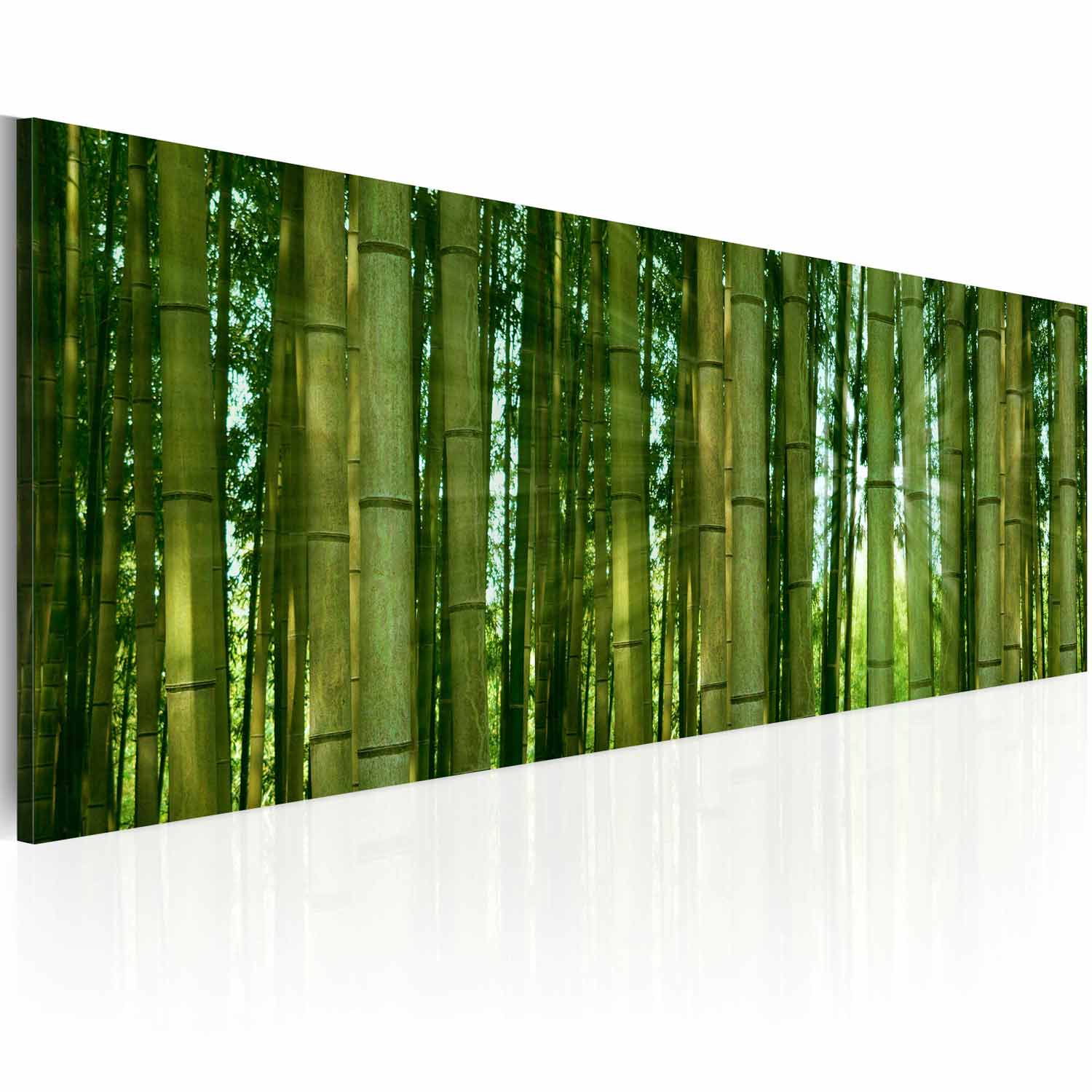 ARTGEIST Bamboo in the sunshine billede - grøn canvas print (40x120)