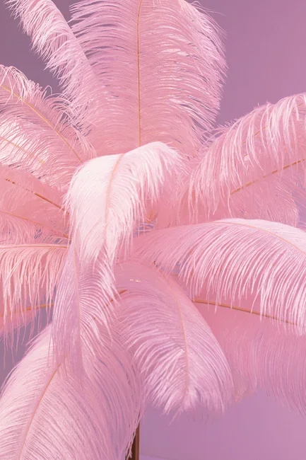 KARE DESIGN Feather Palm gulvlampe - lyserd strudsefjer og messing stl