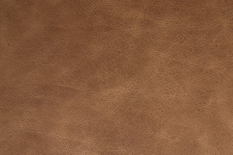 DUTCHBONE Sofa Douglas Wax Leather Cognac