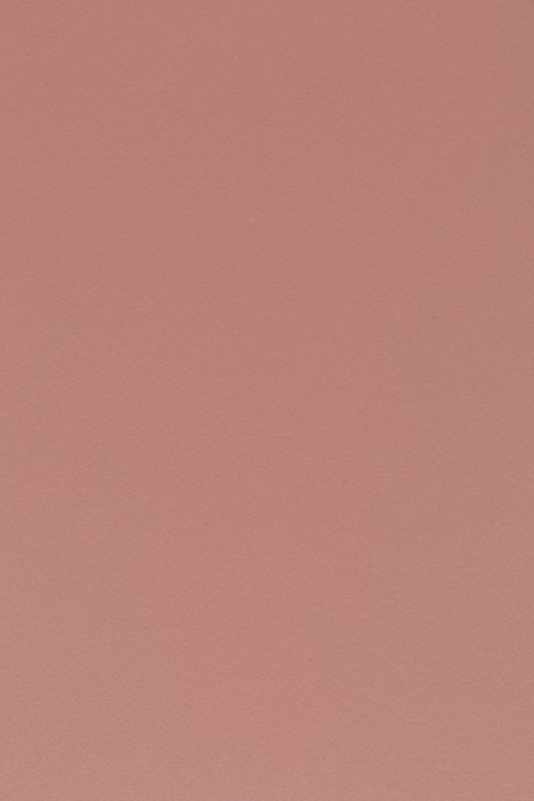 WHITE LABEL LIVING Gigi spisestuestol - rosa polypropylen og stl