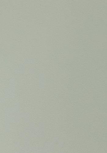 WHITE LABEL LIVING Gigi spisestuestol - mint polypropylen og stl