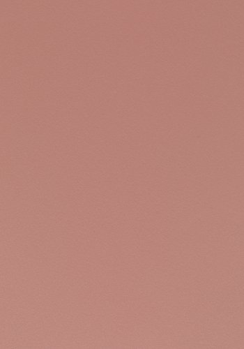 WHITE LABEL LIVING Pip spisestuestol - rosa polypropylen og metall