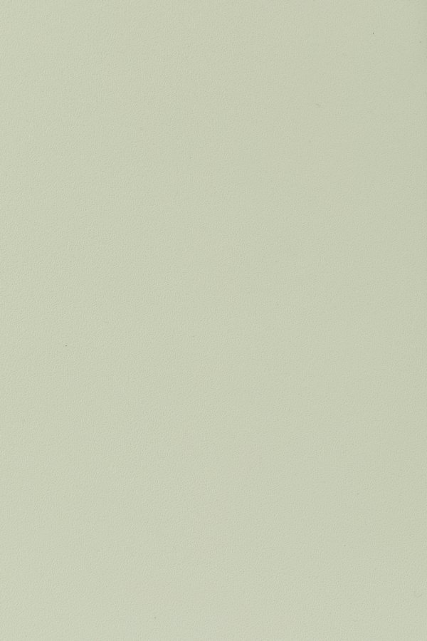 WHITE LABEL LIVING Clive spisestuestol - lysegrnn polypropylen