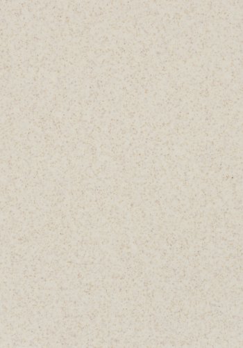 WHITE LABEL LIVING Spisestuestol i hvete – hvit polypropylen og metall