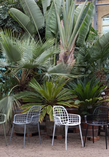 ZUIVER Albert Kuip hagestol, med armlener, stabelbar - grnn aluminium