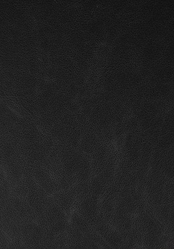 ZUIVER Brit LL spisebordsstol, med armlener - sort PU og sort stl