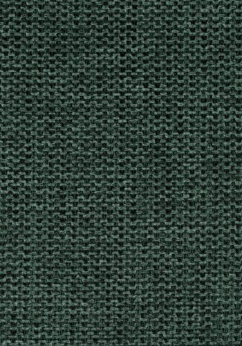 WHITE LABEL LIVING Jolien spisebordsstol, m armlener - mrkegrnn polyester/nylon og gullstl