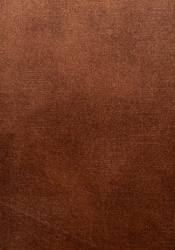 WHITE LABEL LIVING Jamie spisebordstol, m armlener - rust polyester og metall