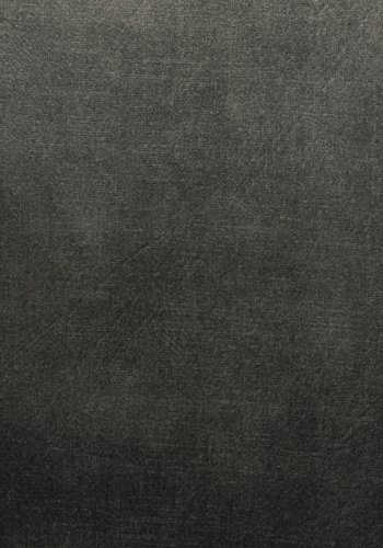 WHITE LABEL LIVING Jamie spisebordstol, m armlener - mose polyester og metall