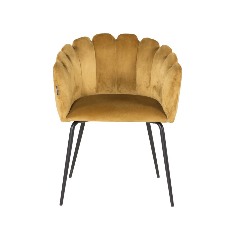 VENTURE DESIGN Limhamn spisebordsstol, med armlener - gul velour og sort metall