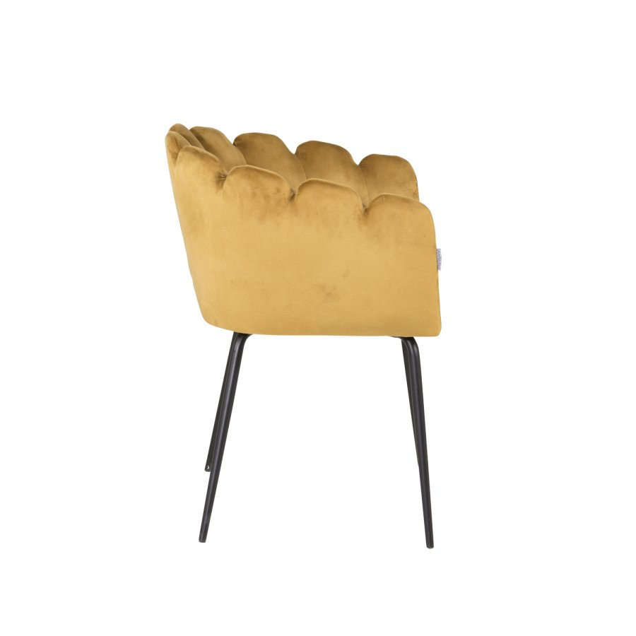 VENTURE DESIGN Limhamn spisebordsstol, med armlener - gul velour og sort metall