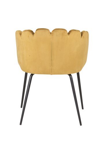 VENTURE DESIGN Limhamn spisebordsstol, med armlener - gul velour og sort metall