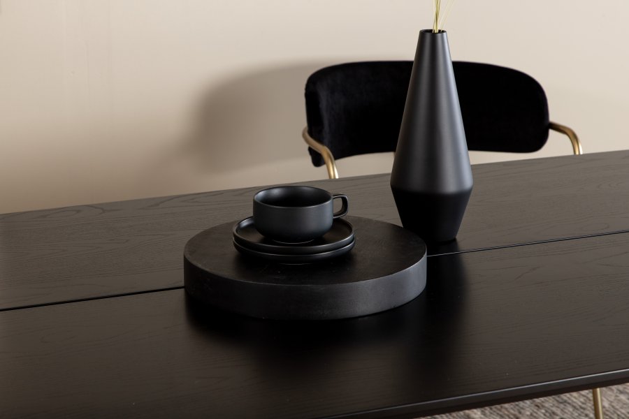 VENTURE DESIGN Pelle spisebord, rektangulrt - svart finer og sort stl (190x90)