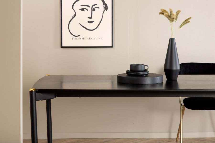 VENTURE DESIGN Pelle spisebord, rektangulrt - svart finer og sort stl (190x90)