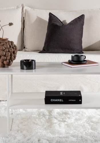 VENTURE DESIGN Couchtisch aus Stahl, mit Ablage – weißer Stahl (120x50)