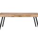 WHITE LABEL LIVING Suri spisebord, rektangulrt - naturlig teak og metall (200X90)