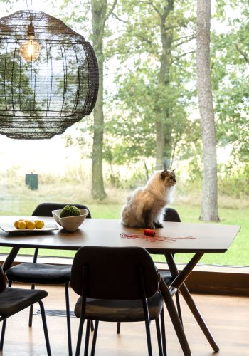 DUTCHBONE Malaya Esstisch, rechteckig – walnussfarbenes Holz (180x90)