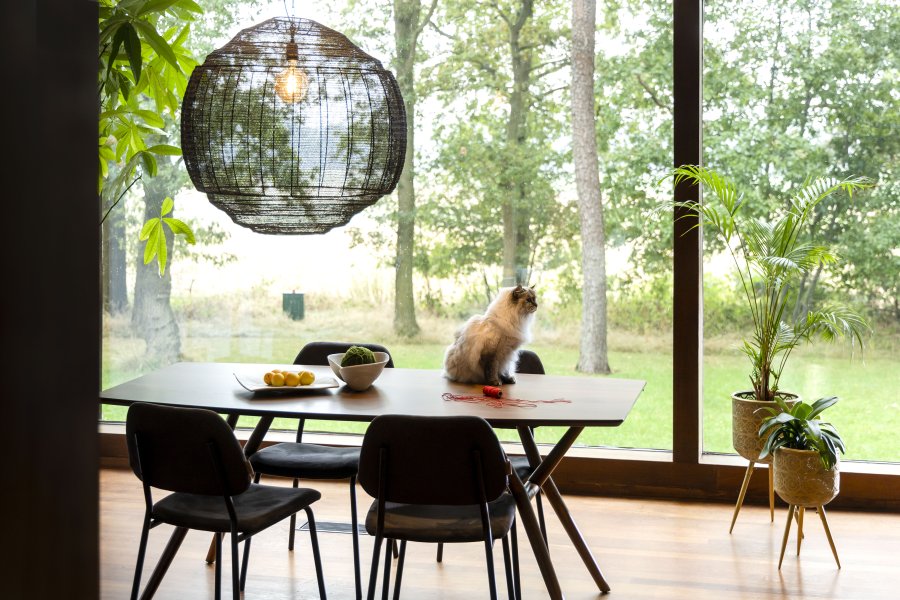 DUTCHBONE Malaya Esstisch, rechteckig – walnussfarbenes Holz (180x90)