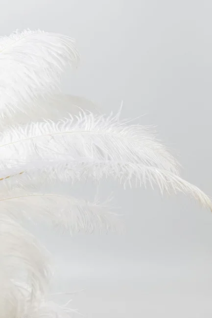 KARE DESIGN Feather Palm bordlampe - hvit strutsefjr og messingstl