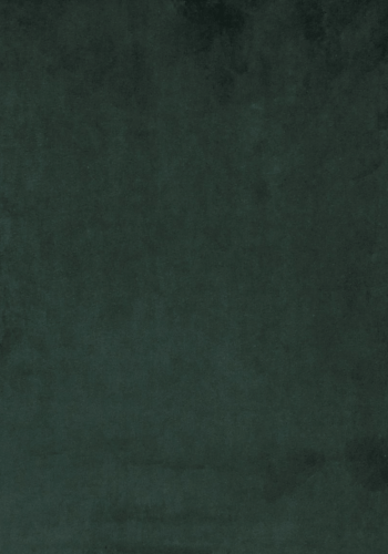 ROWICO Sierra spisestol - grnn polyester og sort metall