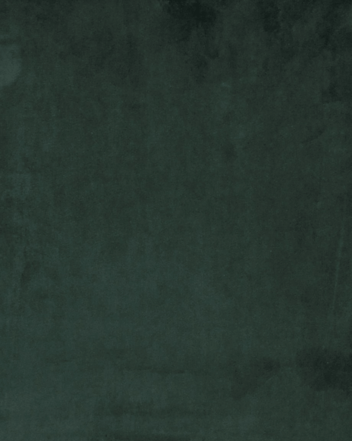 ROWICO Sierra spisestol - grnn polyester og sort metall