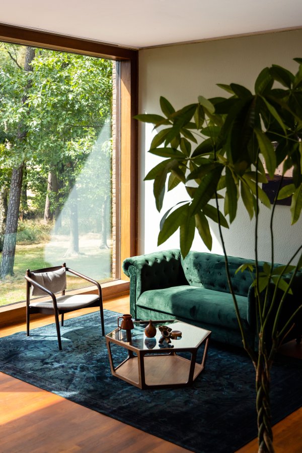 DUTCHBONE Sita salongbord, sekskantet - glass og brun valntt finish (80x93)