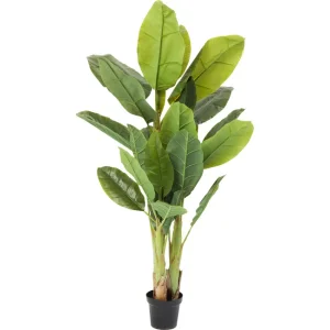 KARE DESIGN Banana Tree kunstig plante - grn ethylenvinylacetat og polyethylen (H:180cm)