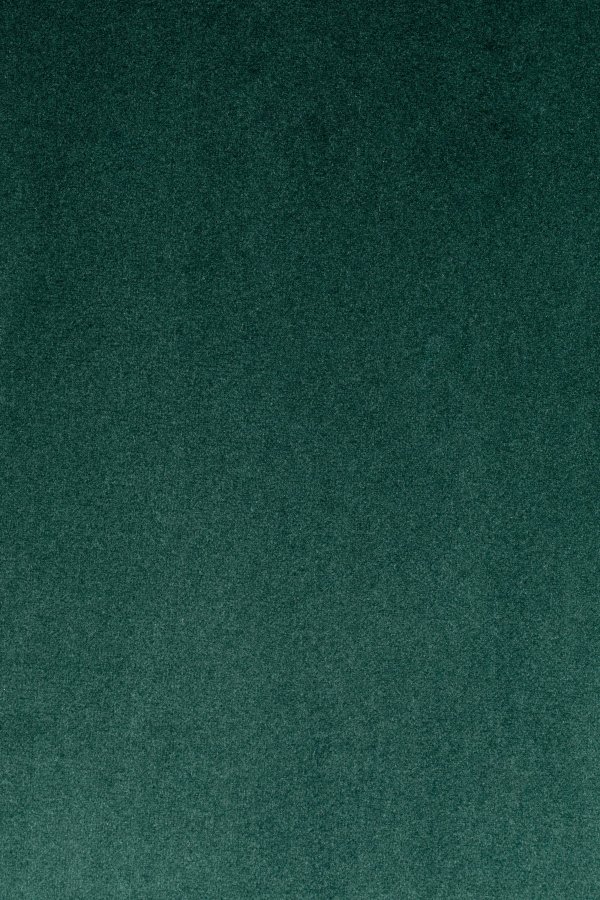 WHITE LABEL LIVING Bon loungestol, med armlener - grnn flyel og metall