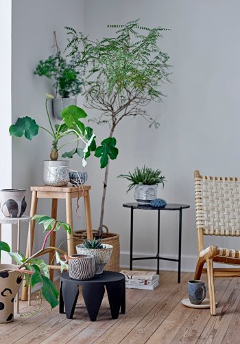 BLOOMINGVILLE Hena Urtepotteskjuler, Gr, Stentj