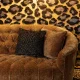 BOLD MONKEY „Too Pretty To Sit On“-Panther-Sofa, mit Nieten – brauner Samtstoff mit Panther-Print/Messingstahl