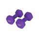 SONGMICS SYL64PL h�ndv�gt, sekskantet - mat lilla neopren (2x2kg) (s�t med 2)