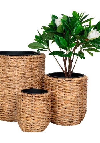 HOUSE NORDIC Planteskjul, vannhyasint, rund, naturlig, sett med 3