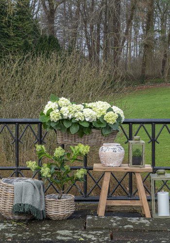 HOUSE NORDIC Pulo Basket - Kurv, kubu rotting, naturlig sett med 2