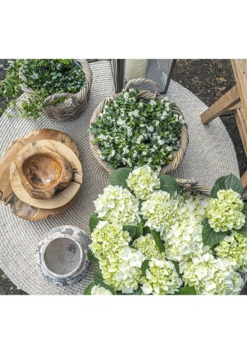 HOUSE NORDIC Kuta-kurv - Kurv, kubu-rotting, naturlig<br>sett med 3