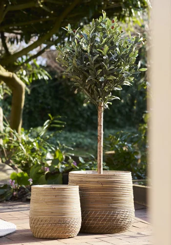 HOUSE NORDIC Moro-kurv - Kurv, kubu-rotting, naturlig<br>sett med 2